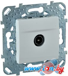 Розетка телевизионная Schneider Electric Unica MGU5.462.18ZD в Могилёве