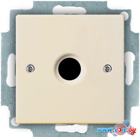 Розетка телевизионная ABB Basic 55 1724-0-4280 в Могилёве