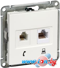 Розетка компьютерная Schneider Electric W59 RSI-251TK5E-1-86 в Могилёве