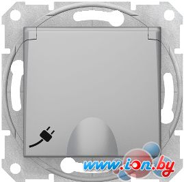 Розетка Schneider Electric Sedna SDN3100160 в Могилёве