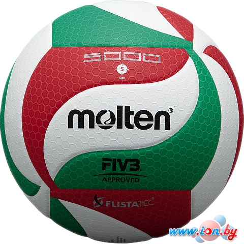 Мяч Molten V5M5000 в Гомеле