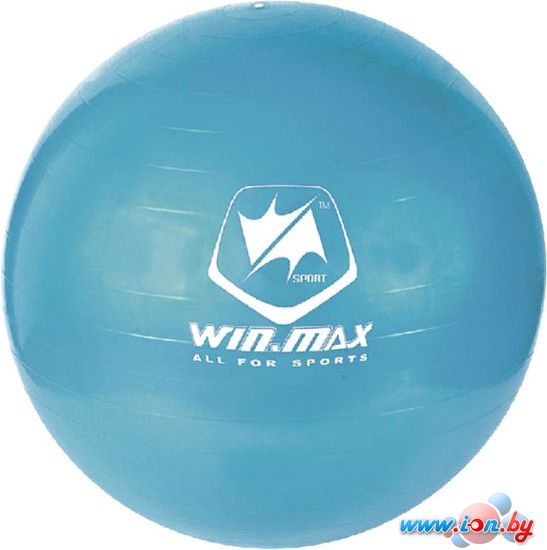 Мяч WIN.MAX WMF09945D (синий) в Гомеле