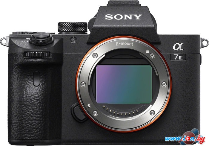 Беззеркальный фотоаппарат Sony a7 III Body в Бресте
