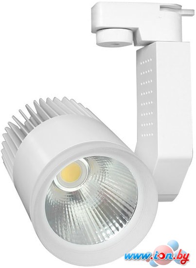 Точечный светильник Elektrostandard Accord 20W 4200K LTB17 (белый) в Бресте