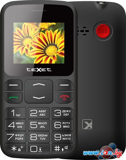 Мобильный телефон TeXet TM-B208 (черный) в Могилёве