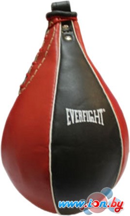 Груша Everfight ESB-5069 в Гродно
