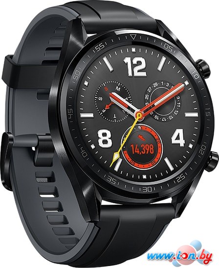 Умные часы Huawei Watch GT FTN-B19 (стальной черный) в Могилёве