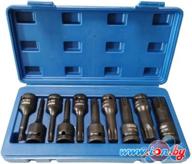 Набор торцевых головок ForceKraft FK-41013MPB (10 предметов) в Могилёве