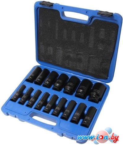 Набор торцевых головок RockForce RF-4167-5MPB (16 предметов) в Могилёве