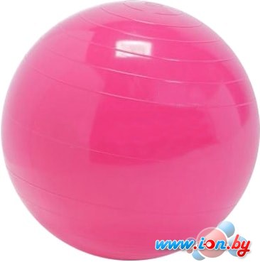 Мяч Sundays Fitness IR97402-65 (розовый) в Витебске