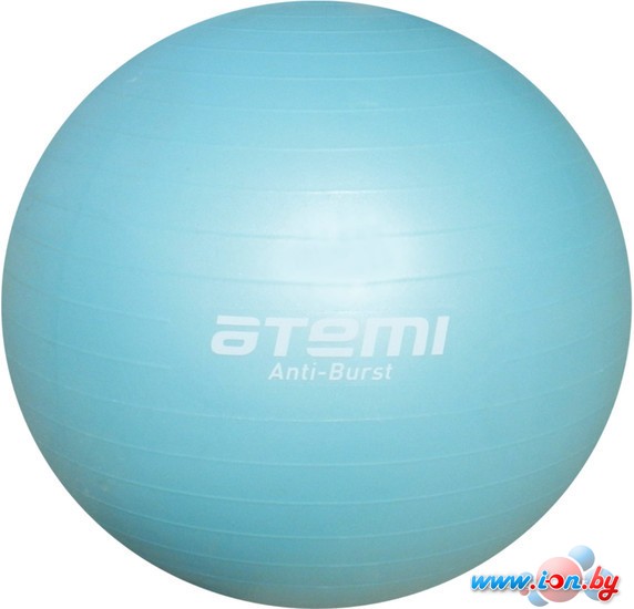 Мяч Atemi AGB-04-65 Антивзрыв в Бресте