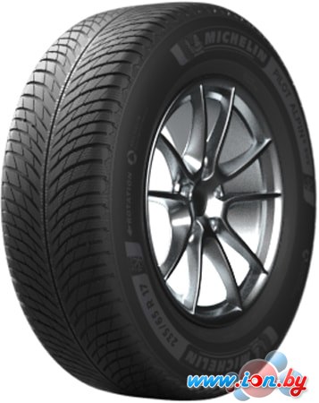 Автомобильные шины Michelin Pilot Alpin 5 SUV 235/60R18 107H в Бресте