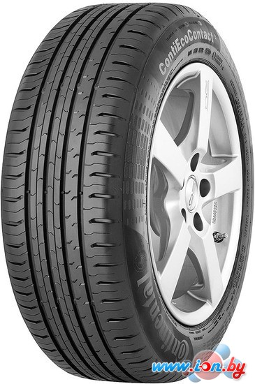 Автомобильные шины Continental ContiEcoContact 5 205/55R17 91V в Бресте