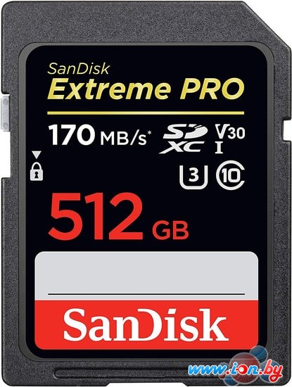 Карта памяти SanDisk Extreme PRO SDXC SDSDXXY-512G-GN4IN 512GB в Могилёве