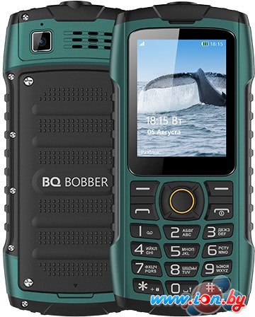 Мобильный телефон BQ-Mobile BQ-2439 Bobber (зеленый) в Витебске