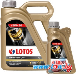 Моторное масло Lotos Synthetic 504/507 5W-30 4л в Витебске