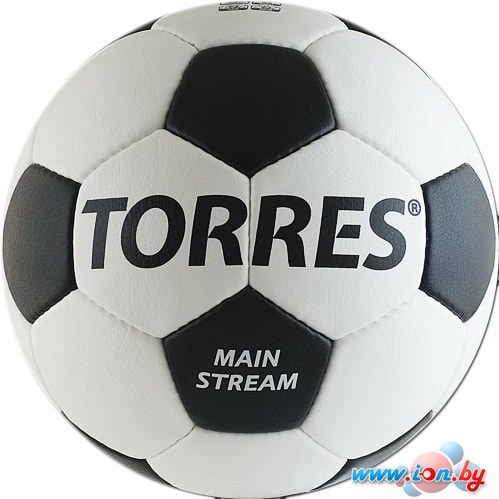 Мяч Torres Main Stream (5 размер) в Минске