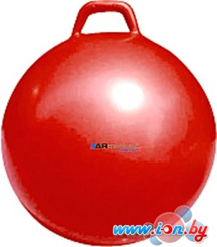Мяч ARmedical HB1-45 в Гомеле
