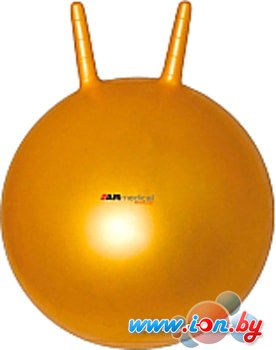Мяч ARmedical HB2-55 в Гомеле
