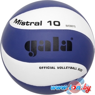 Мяч Gala Mistral 10 [BV5661S] в Витебске