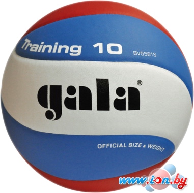 Мяч Gala Training 10 [BV5561S] в Бресте