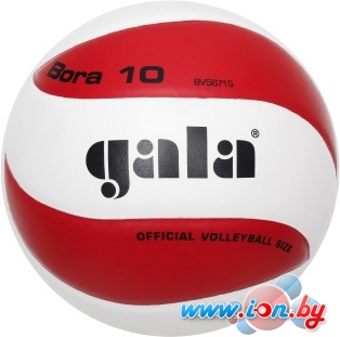 Мяч Gala Bora 10 [BV5671S] в Бресте