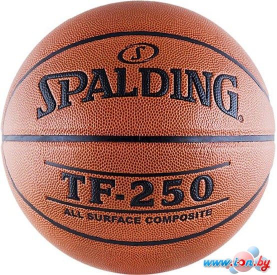 Мяч Spalding TF-250 (5 размер) в Бресте