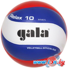 Мяч Gala Relax 10 [BV5461S] в Гомеле