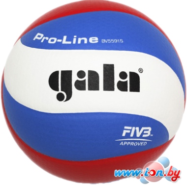 Мяч Gala Pro Line [BV5591S] в Бресте