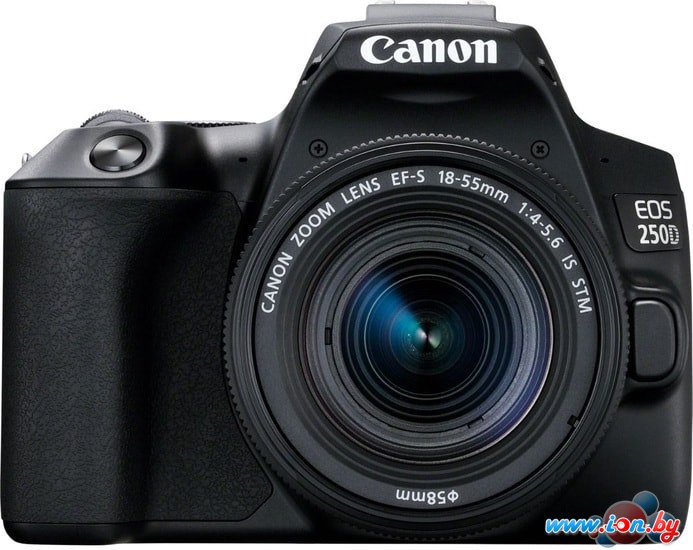 Зеркальный фотоаппарат Canon EOS 250D Kit 18-55 IS STM (черный) в Могилёве