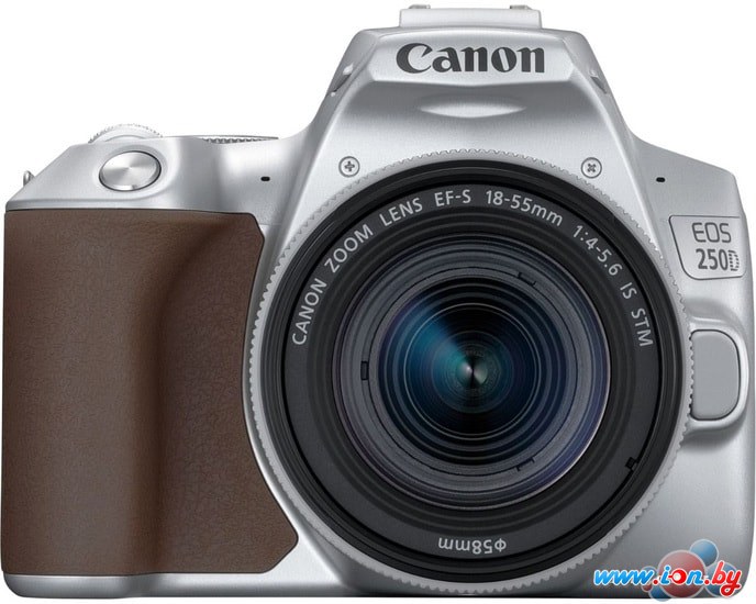 Зеркальный фотоаппарат Canon EOS 250D Kit 18-55 IS STM (серебристый) в Могилёве