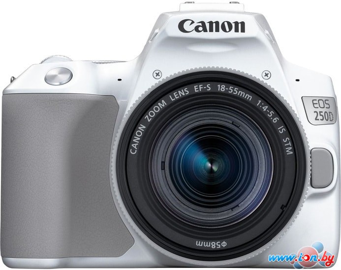 Зеркальный фотоаппарат Canon EOS 250D Kit 18-55 IS STM (белый) в Могилёве