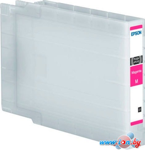 Картридж Epson C13T04A340 в Могилёве