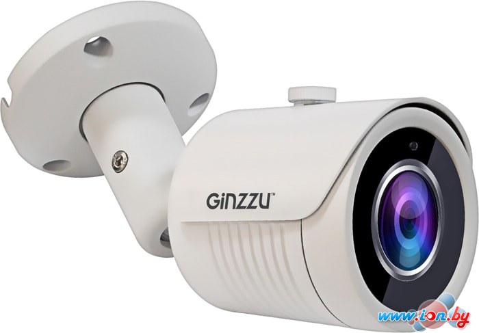 CCTV-камера Ginzzu HAB-5031A в Бресте