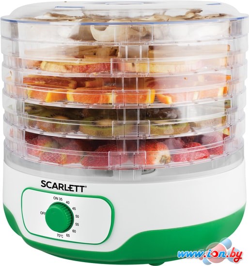 Сушилка для овощей и фруктов Scarlett SC-FD421011 в Гомеле