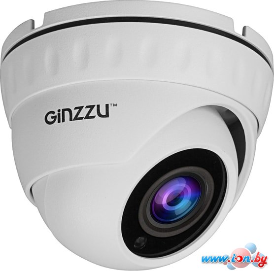 IP-камера Ginzzu HID-2032S в Бресте