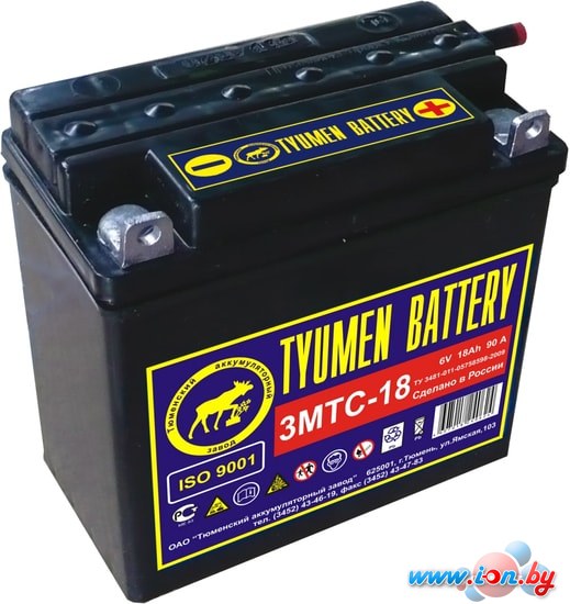 Мотоциклетный аккумулятор Tyumen Battery Лидер 3МТС-18 (18 А·ч) в Гродно