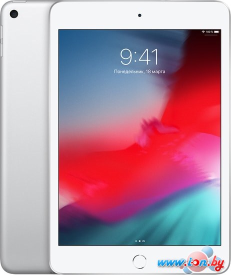 Планшет Apple iPad mini 2019 64GB MUQX2 (серебристый) в Могилёве