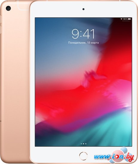 Планшет Apple iPad mini 2019 64GB LTE MUX72 (золотой) в Гомеле