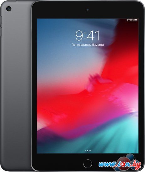Планшет Apple iPad mini 2019 64GB MUQW2 (серый космос) в Гомеле