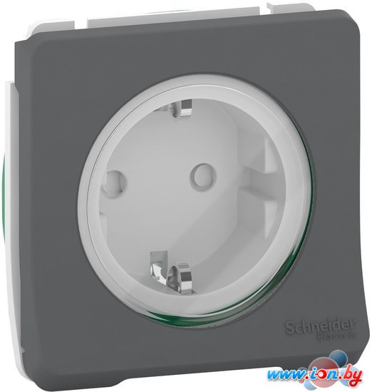 Розетка Schneider Electric Mureva Styl MUR36134 в Могилёве