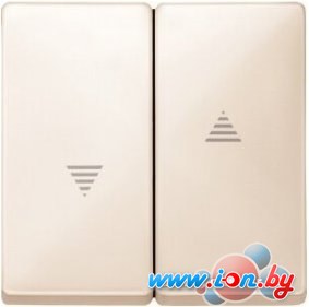 Клавиша для выключателя Schneider Electric MTN411544 в Могилёве