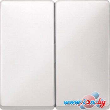 Клавиша для выключателя Schneider Electric MTN412519 (белый) в Могилёве