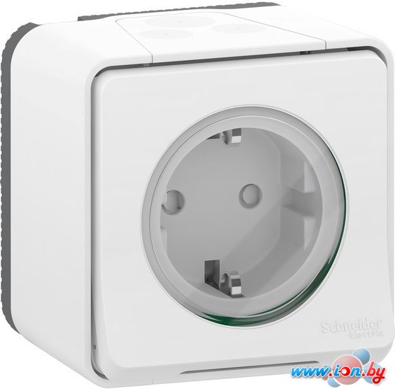 Розетка Schneider Electric Mureva Styl MUR39034 в Могилёве