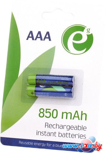 Аккумуляторы Gembird Rechargeable batteries AAA 850 mАh 2 шт. [EG-BA-AAA8R-01] в Могилёве