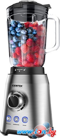 Стационарный блендер CENTEK CT-1329 в Гродно