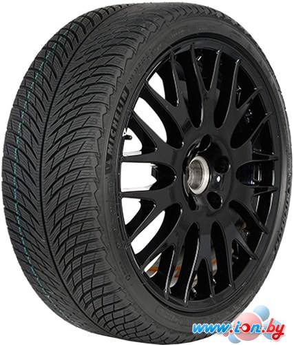 Автомобильные шины Michelin Pilot Alpin 5 225/50R17 98H (run-flat) в Бресте