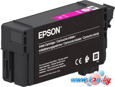 Картридж Epson C13T40D340 в Могилёве