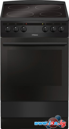 Кухонная плита Hansa FCCM58088 в Могилёве