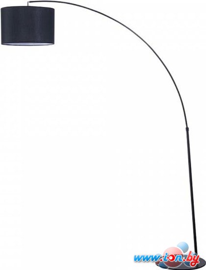 Торшер Maytoni Nevada Z328-FL-01-B в Могилёве